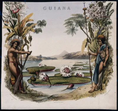 Giant water lilies (Victoria amazonica) on a lake bordered by two Guianan men and plants
