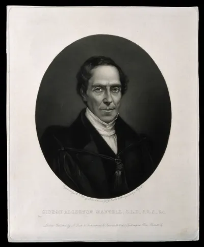 Gideon Algernon Mantell