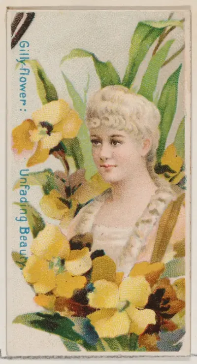 Gilly-flower: Unfading Beauty, from the series Floral Beauties and Language of Flowers (N75) for Duke brand cigarettes
