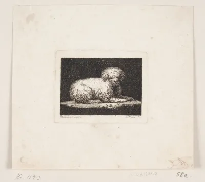 Giordano, en liggende hund