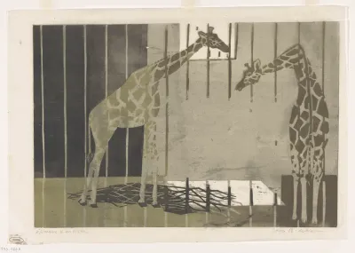 Giraffen