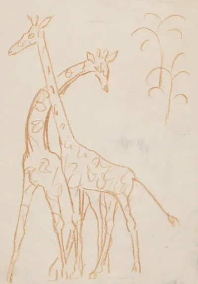 Giraffes