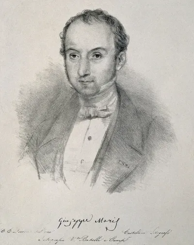 Giuseppe Giacinto Moris