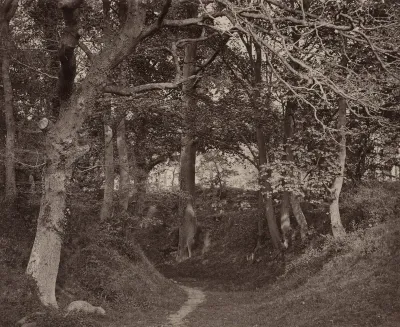 Glen Kenilworth
