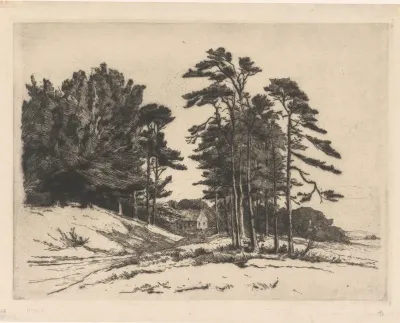 Glooiend landschap bij Wolfheze