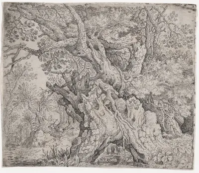 Gnarled Trees and Twisted Roots Before a Swamp