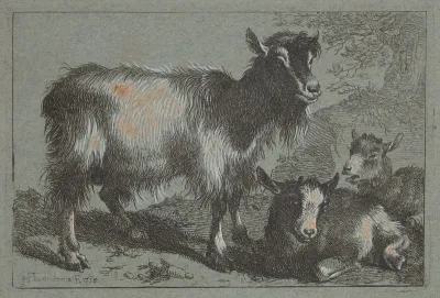 Goat and Two Kids