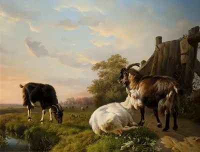 Goats