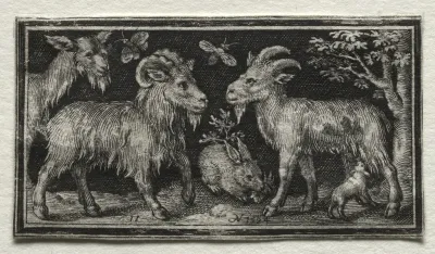 Goats and Hare