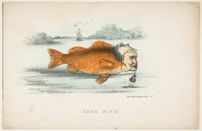 Gold Fish (Francis M. Drexel), from "The Comic Natural History of the Human Race"