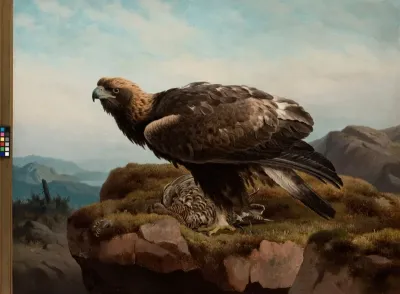 Golden Eagle at a Cliff's Edge