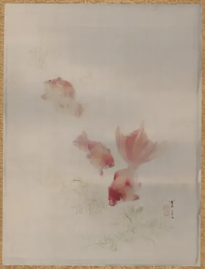 Goldfish