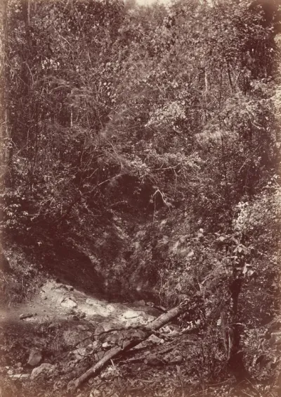 Gorge Near Chipigana