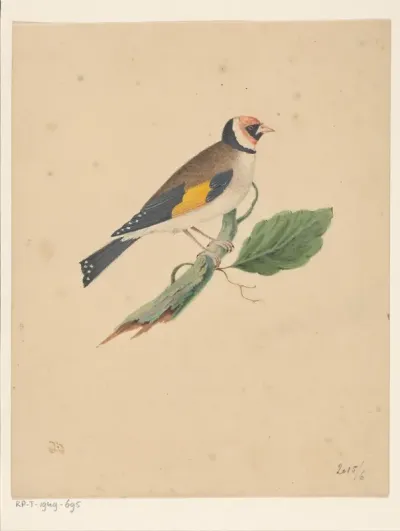 Goudvink