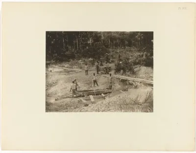 Goudwassers, Suriname