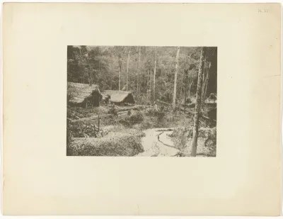 Goudwinning in het regenwoud door het bedrijf L. & F. de Jong, Suriname