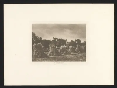 Graanschoven in een weiland