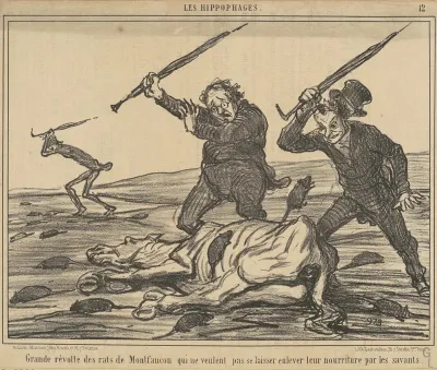 Grande révolte des rats de montfaucon ...