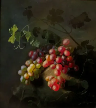Grapes