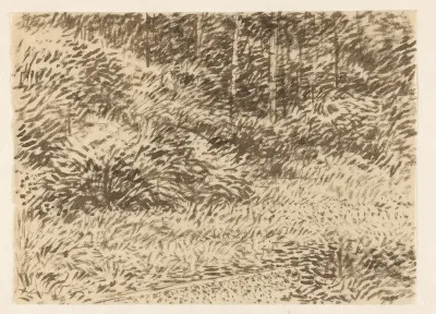 Gras, struikgewas en bomen