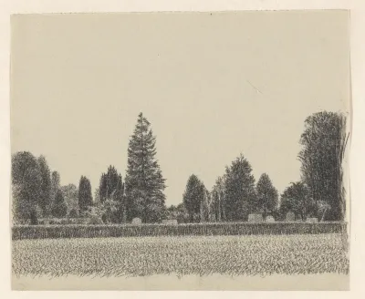 Grasveld en kerkhof achter heg