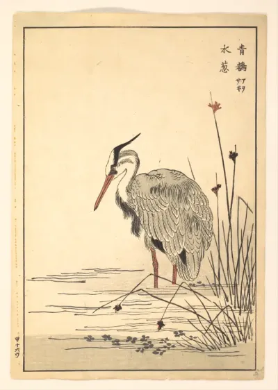 Gray Heron (Aosagi) and Mizu-aoi Plant