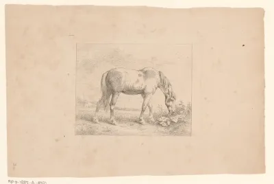 Grazend bont paard