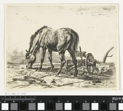 Grazend paard bij een ploeg