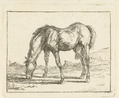 Grazend paard naar links