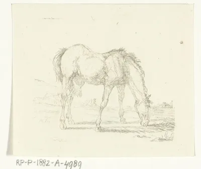 Grazend paard naar rechts