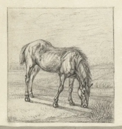 Grazend paard
