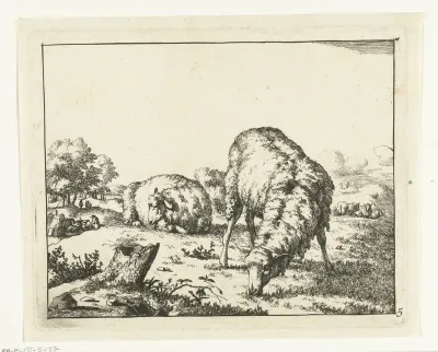 Grazend schaap, bij boomstronk