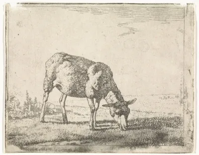 Grazend schaap naar rechts