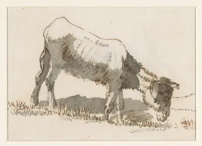 Grazende ezel, van rechts