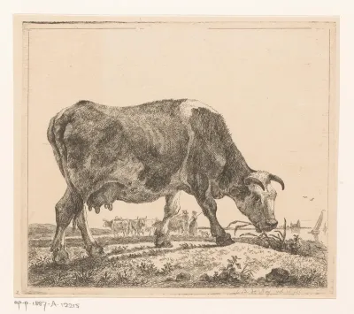 Grazende koe bij een rivier