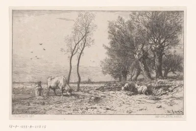 Grazende koe en schapen bij knotwilgen