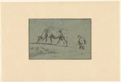 Grazende koe met herder