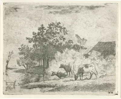 Grazende koeien bij beek