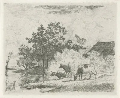Grazende koeien bij beek