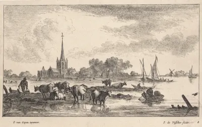 Grazende koeien in de uiterwaarden