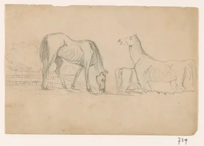 Grazende paarden