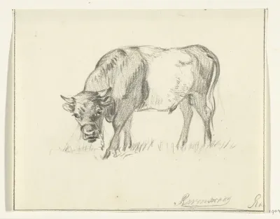 Grazende stier, naar links