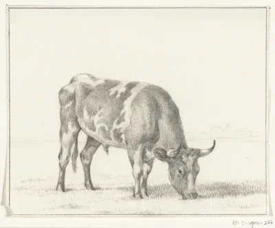 Grazende stier, naar rechts