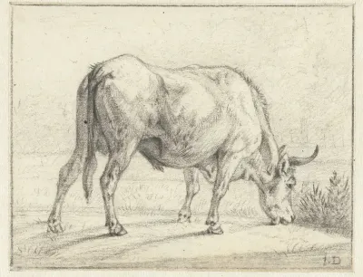 Grazende stier