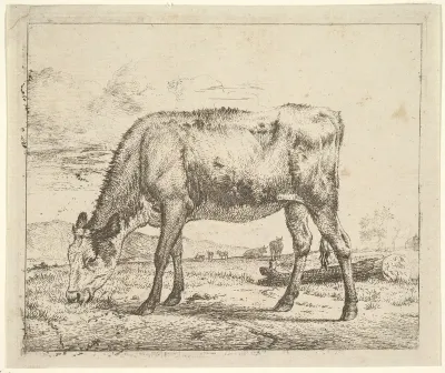 Grazing Calf, plate 8 from "Different Animals"