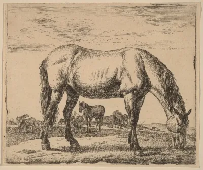Grazing Horse