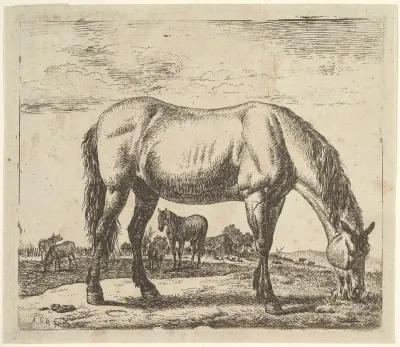 Grazing Horse, plate 7 from "Different Animals"