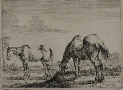 Grazing Horse, plate three from Series of Horses