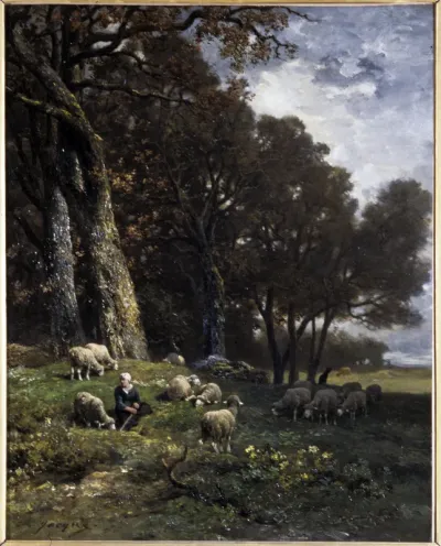 Grazing Sheeps