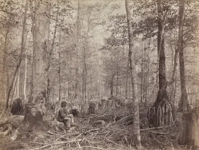 Great Dismal Swamp, Virginia